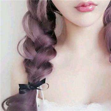 半岛网页版入口官网